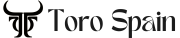 torospain.com